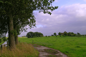 Terpboerderij bij Schagen